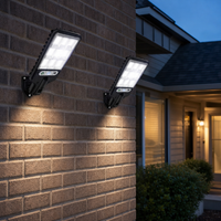 Wireless Solar Security Light with Motion Detection – Lumaris