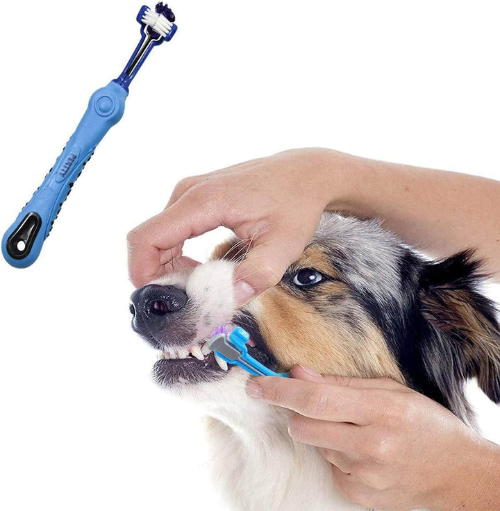 2-Piece Triangular Pet Toothbrush - Tartar Control for Healthy Teeth-State of Style