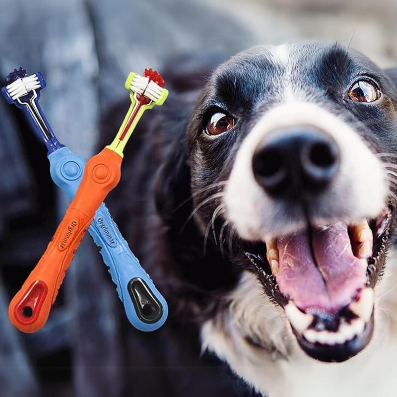 2-Piece Triangular Pet Toothbrush - Tartar Control for Healthy Teeth-State of Style