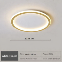 Minimalist Flat Ceiling Light - RoundSkye