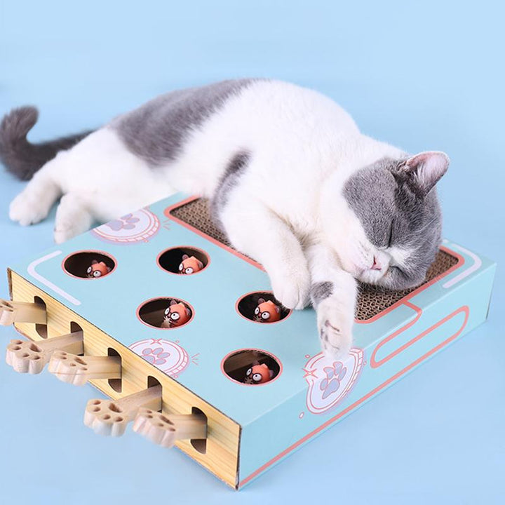 3-in-1 Interactive Cat Toy - WhiskerPlay-State of Style