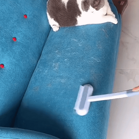 3-in-1 Pet Hair Remover - PetClean Pro-State of Style