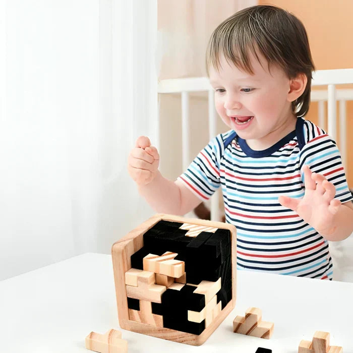 3D Wooden Brain Teaser - PuzzleMaster-State of Style