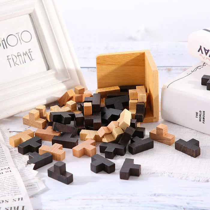3D Wooden Brain Teaser - PuzzleMaster-State of Style