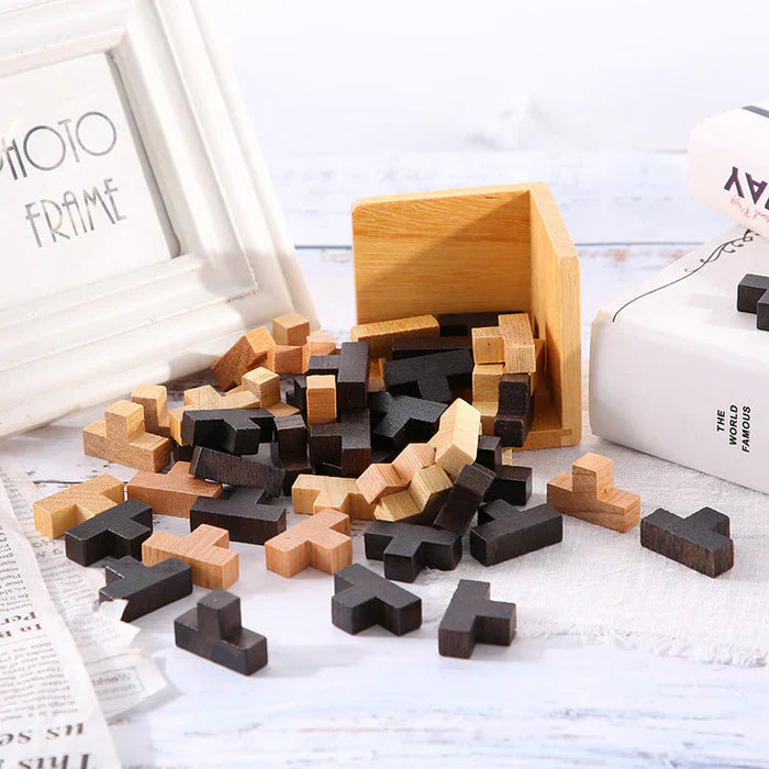 3D Wooden Brain Teaser - PuzzleMaster-State of Style