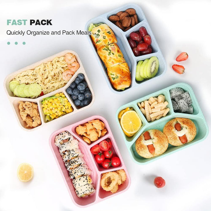 4-Pack Bento Snack Box – 4 Compartments-Multi Coloured-State of Style