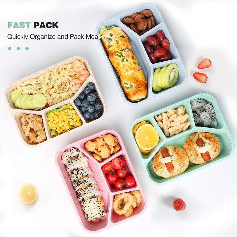 4-Pack Bento Snack Box – 4 Compartments-Multi Coloured-State of Style