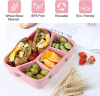 4-Pack Bento Snack Box – 4 Compartments-Multi Coloured-State of Style