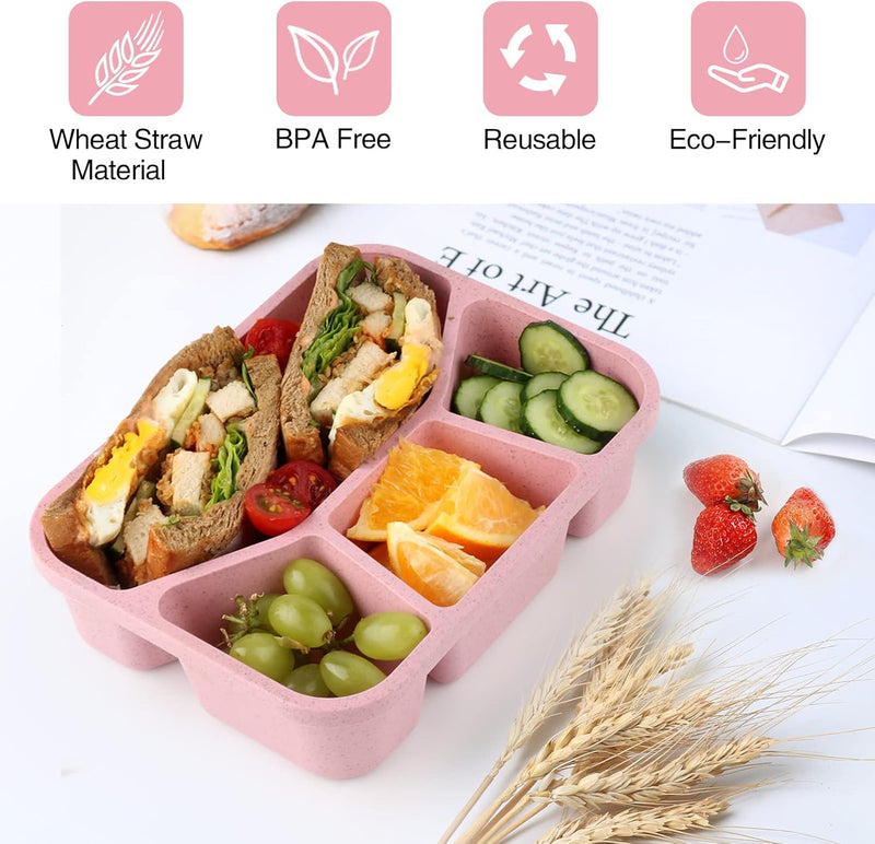 4-Pack Bento Snack Box – 4 Compartments-Multi Coloured-State of Style