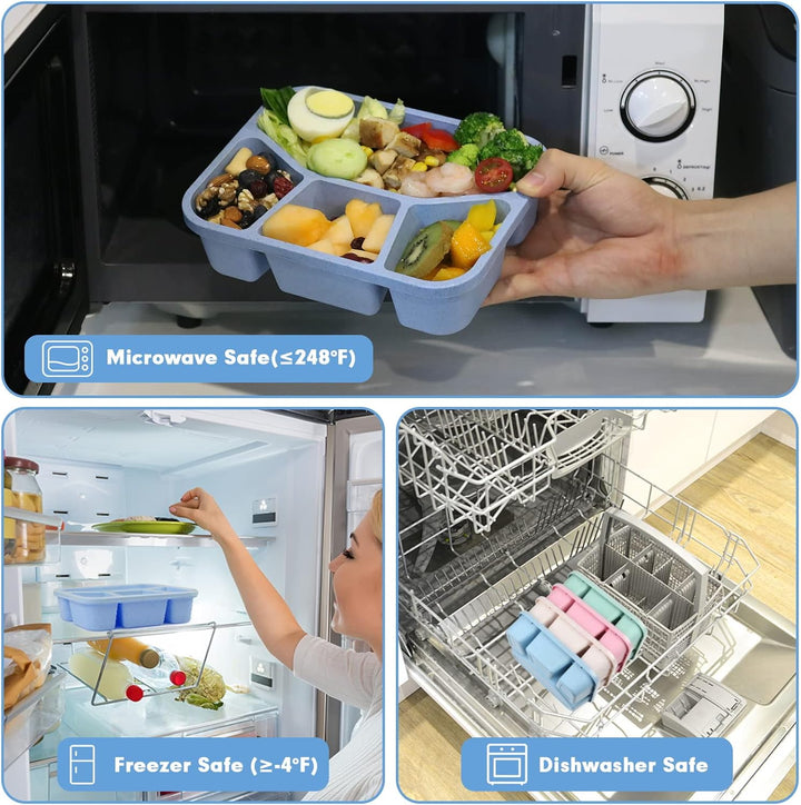 4-Pack Bento Snack Box – 4 Compartments-Multi Coloured-State of Style