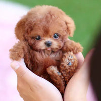 Interactive cuddly dog with realistic movements – for children and older adults