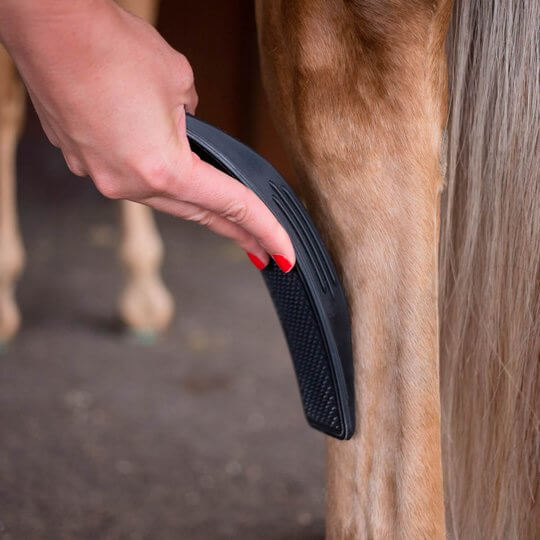 6-In-1 Horse Care Brush - EquiGlow-Black-State of Style