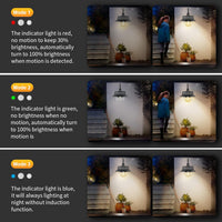 Solar Motion Barn Wall Lights with 3 Modes & Gooseneck Design (2 Pack) – Halden