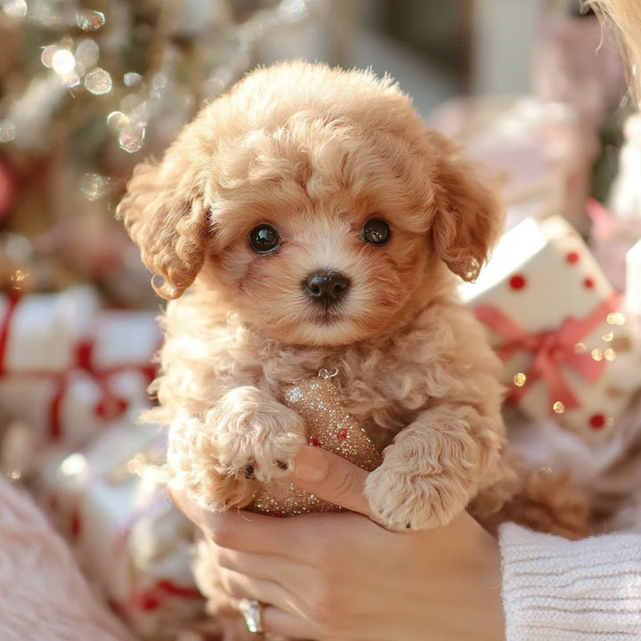 Interactive cuddly dog with realistic movements – for children and older adults