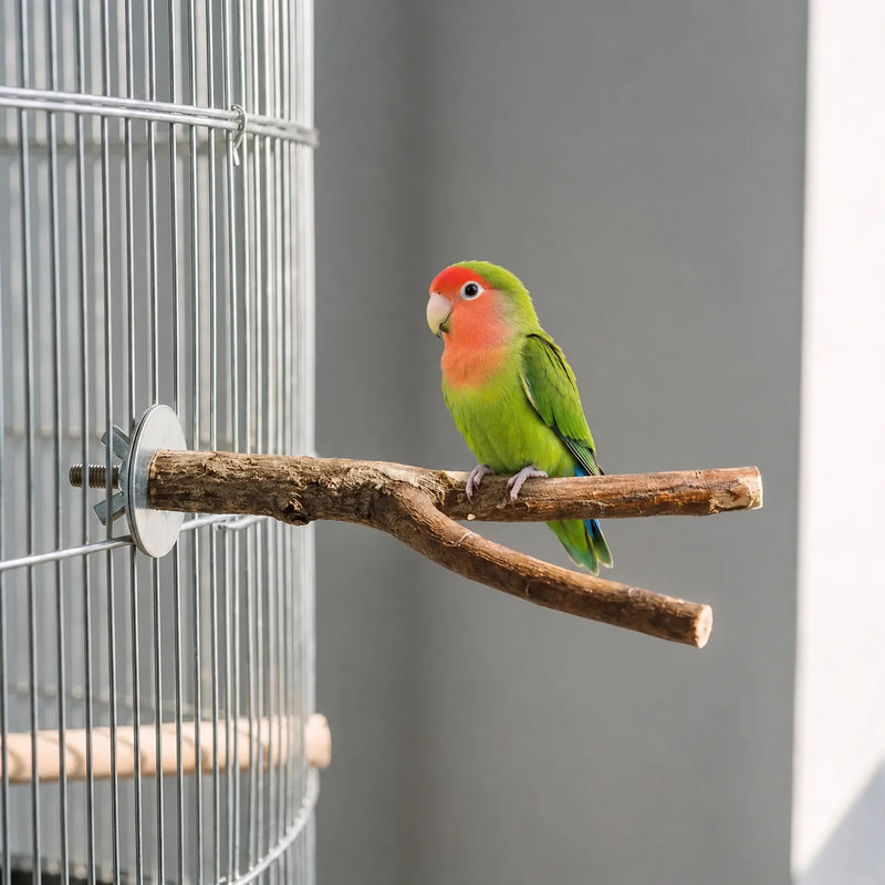 Green and orange lovebird perched on a forked natural branch fixed with a wing nut to the wire of a bird cage. 2