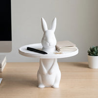 Animal Themed Desktop Storage Tray - Bunico
