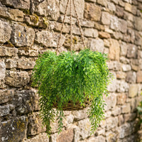 Artificial Weeping Willow Vine - Cascadon