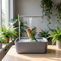 Green and orange lovebird spreading its wings under the shower on a wooden table, surrounded by houseplants by a window. 2
