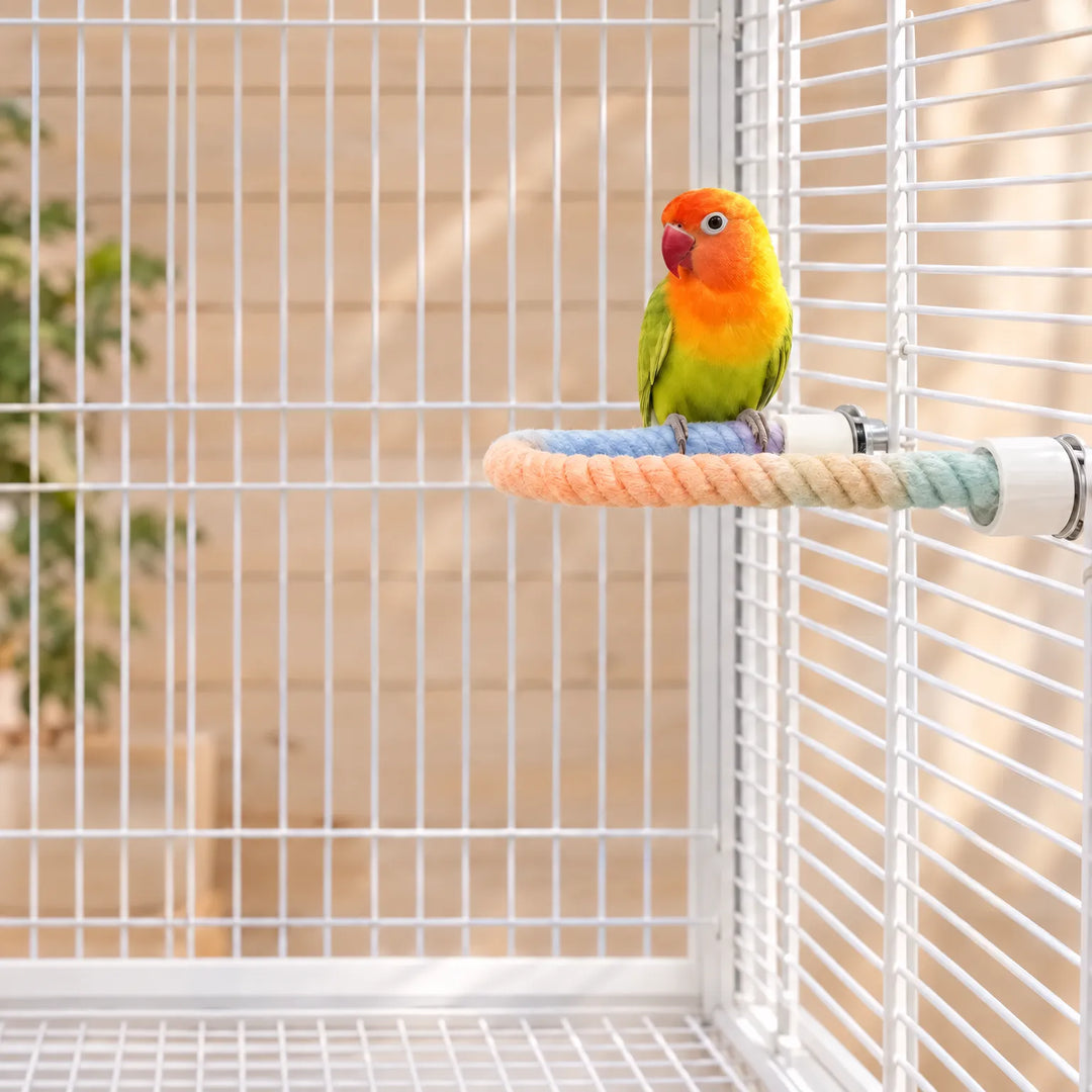Small green and orange lovebird perched on the pastel rope bent into a curve, fixed inside a white wire cage. 2