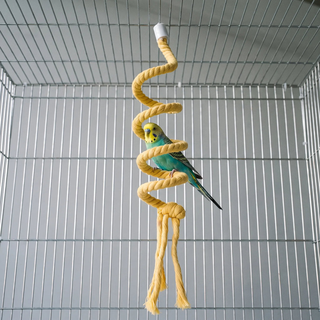 Green and yellow budgie perched on a coil of the yellow spiral rope perch hanging inside a wire cage. 2