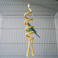 Green and yellow budgie perched on a coil of the yellow spiral rope perch hanging inside a wire cage. 2