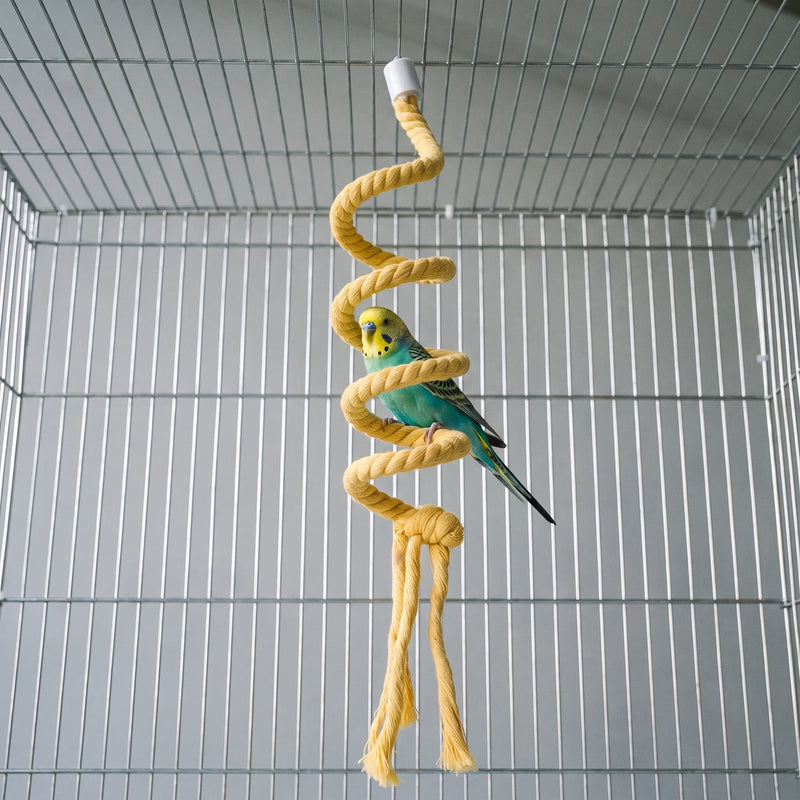 Green and yellow budgie perched on a coil of the yellow spiral rope perch hanging inside a wire cage. 2