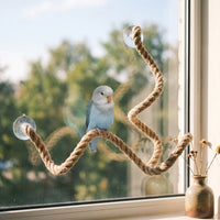 Pale blue parrot perched on a wavy rope perch stuck to a sunny window, with a small vase on the sill. 2