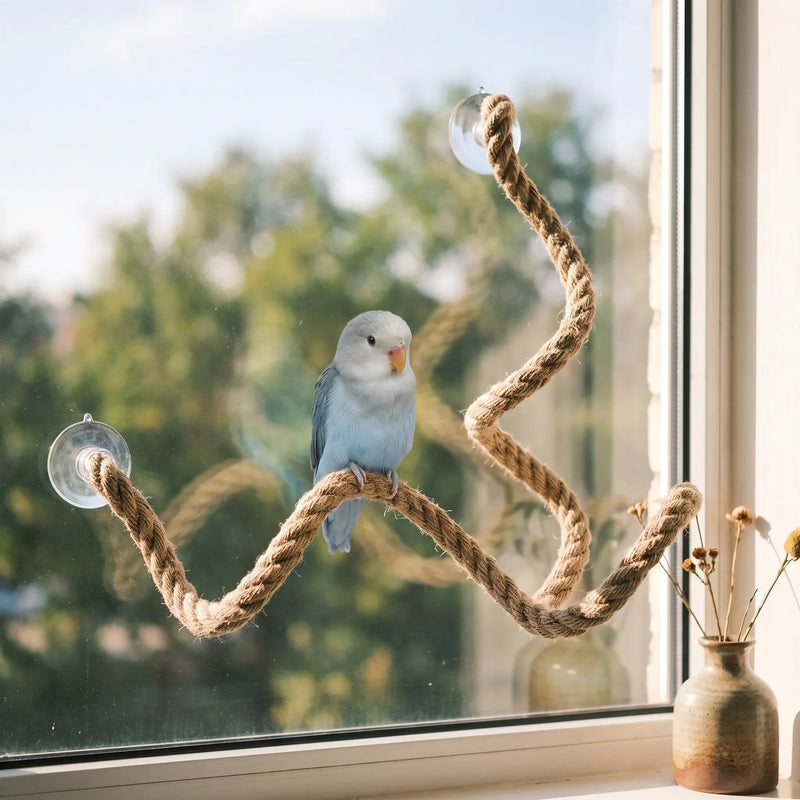 Pale blue parrot perched on a wavy rope perch stuck to a sunny window, with a small vase on the sill. 2