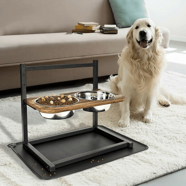 Premium Raised Dog Feeding Station - SnackHaven
