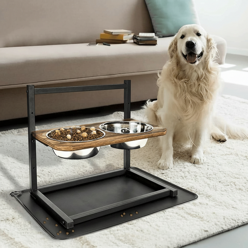 Premium Raised Dog Feeding Station - SnackHaven