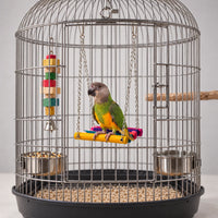 Grey-headed parrot perched on the colourful wooden swing inside a large domed steel cage with food bowls and a hanging block toy. 1