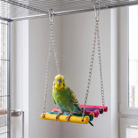 Green and yellow budgerigar standing on the rainbow wooden swing, which hangs from two metal chains with clip hooks from a cage roof. 2