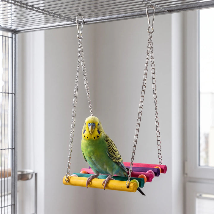 Green and yellow budgerigar standing on the rainbow wooden swing, which hangs from two metal chains with clip hooks from a cage roof. 2