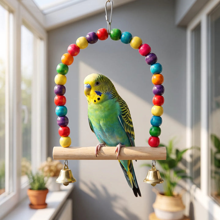 Green and yellow budgerigar perched on the beaded swing, which hangs by a metal clip in a bright conservatory. 2