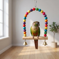 Green-cheeked conure sitting on the bead-arch swing with its two brass bells, hanging in a sunlit room with wooden floor. 3