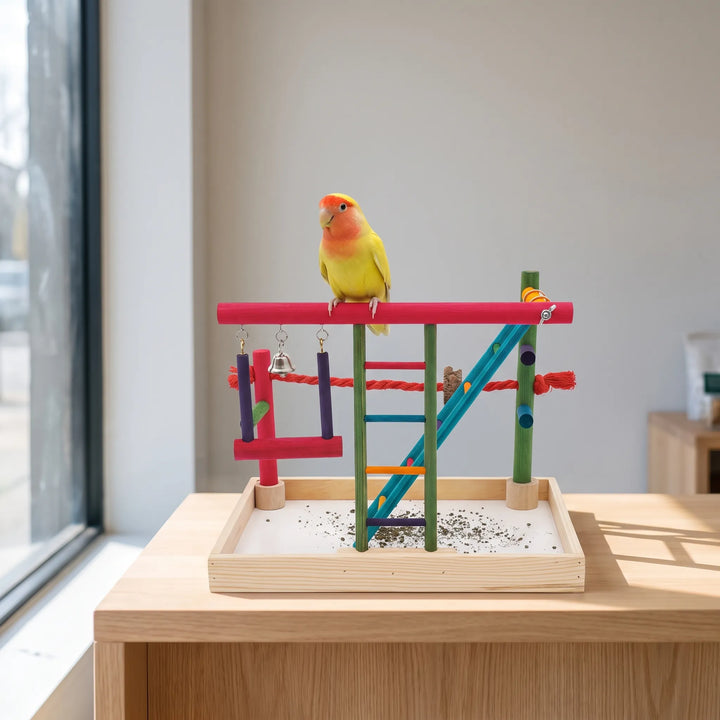 Yellow and orange lovebird perched on the top bar of the play stand, which sits on a wooden side table. 3