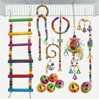 Bright beaded ladder, curled bead strands, jingle bells, shredding toy and six small plastic balls hanging from a cage roof. 7
