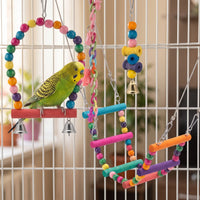 Budgerigar perched on the beaded swing inside a cage, with the chain, ladders and bell toy hanging beside it. 2
