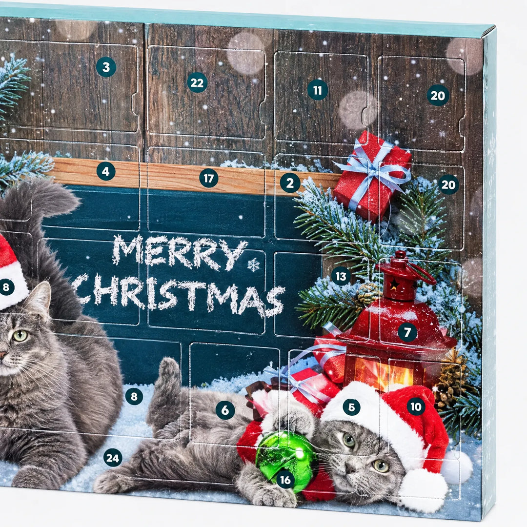 Close-up of the box front showing numbered door flaps over a winter scene of two cats in Santa hats beside gifts. 3