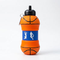 Collapsible Sports-Themed Water Bottle - Spherix