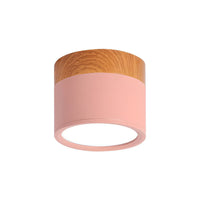 Compact Cylindrical Ceiling Light - Kyntaro