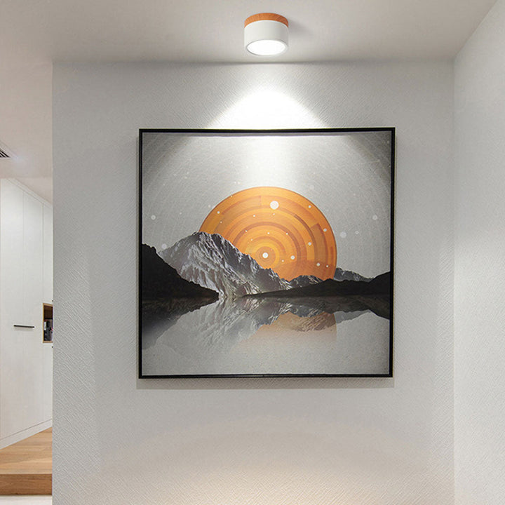 Compact Cylindrical Ceiling Light - Kyntaro