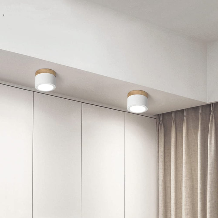 Compact Cylindrical Ceiling Light - Kyntaro