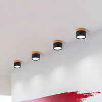 Compact Cylindrical Ceiling Light - Kyntaro