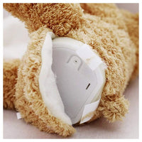 Talking cuddly teddy bear with music and games – interactive companion for children