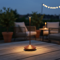 Drahtlose LED Tischleuchte - Ambifera