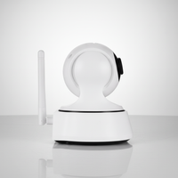 Drahtlose WLAN Sicherheitskamera - Panovoice