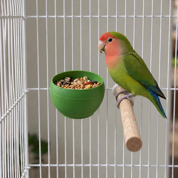 Green bowl filled with mixed seeds hanging on the bars of a white cage beside a green and red parrot on a wooden perch. 2