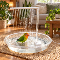 Green and orange lovebird bathing in the clear dish under falling water streams, set on a woven rug in a bright living room. 2