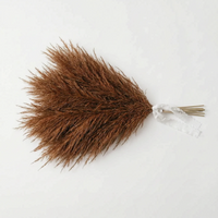 Fluffy Artificial Pampas Grass - Arundia